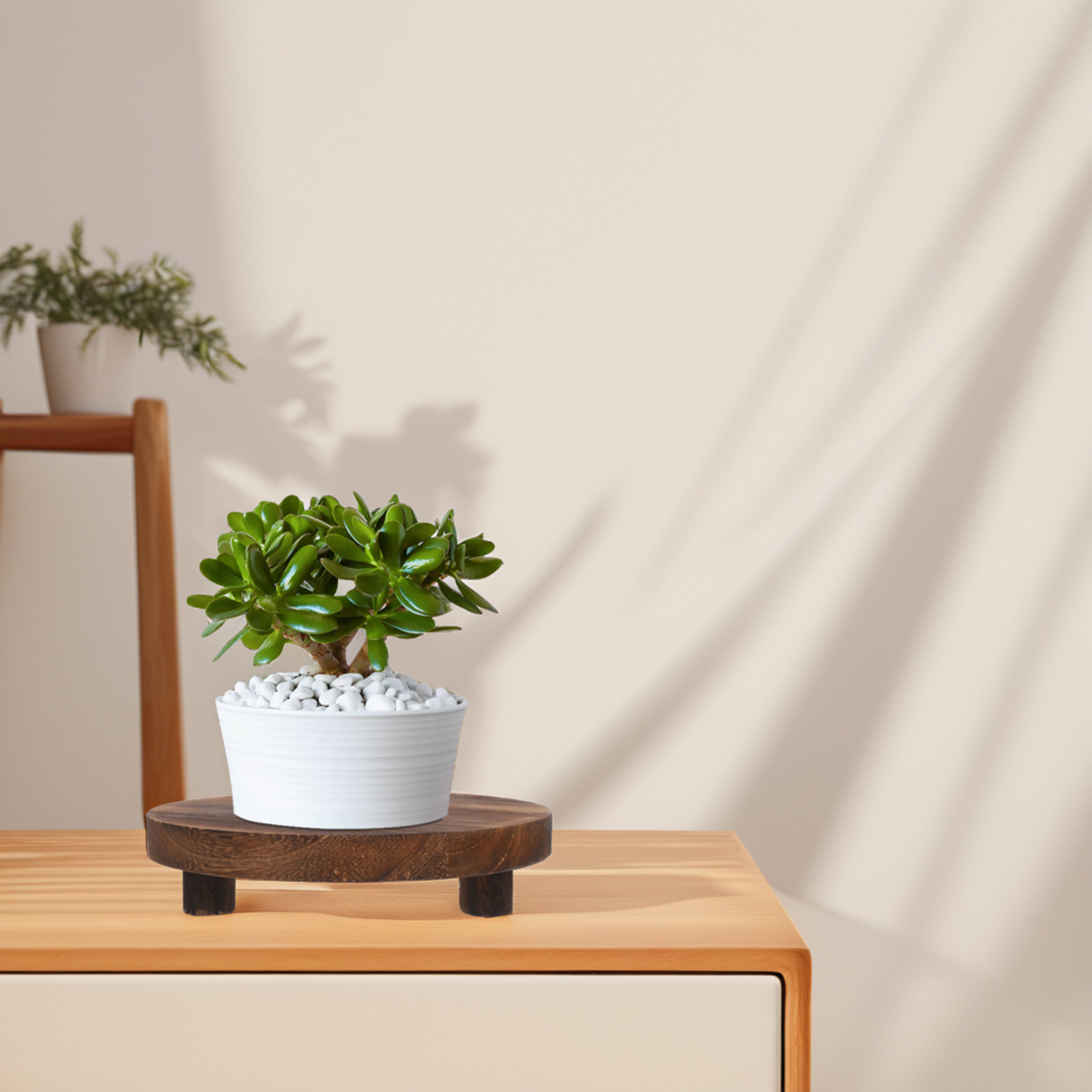 3Pcs Solid Wood Plant Stand Se - Display Risers Set recension och pris