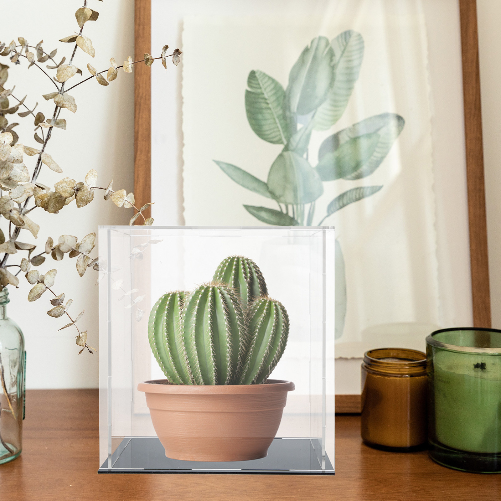 Heavy-Duty Acrylic Display Box - Display Case Acrylic recension och pris